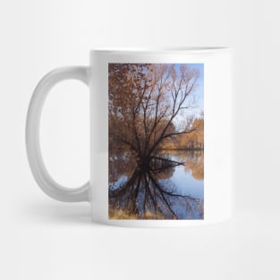 Looking Glass Mug